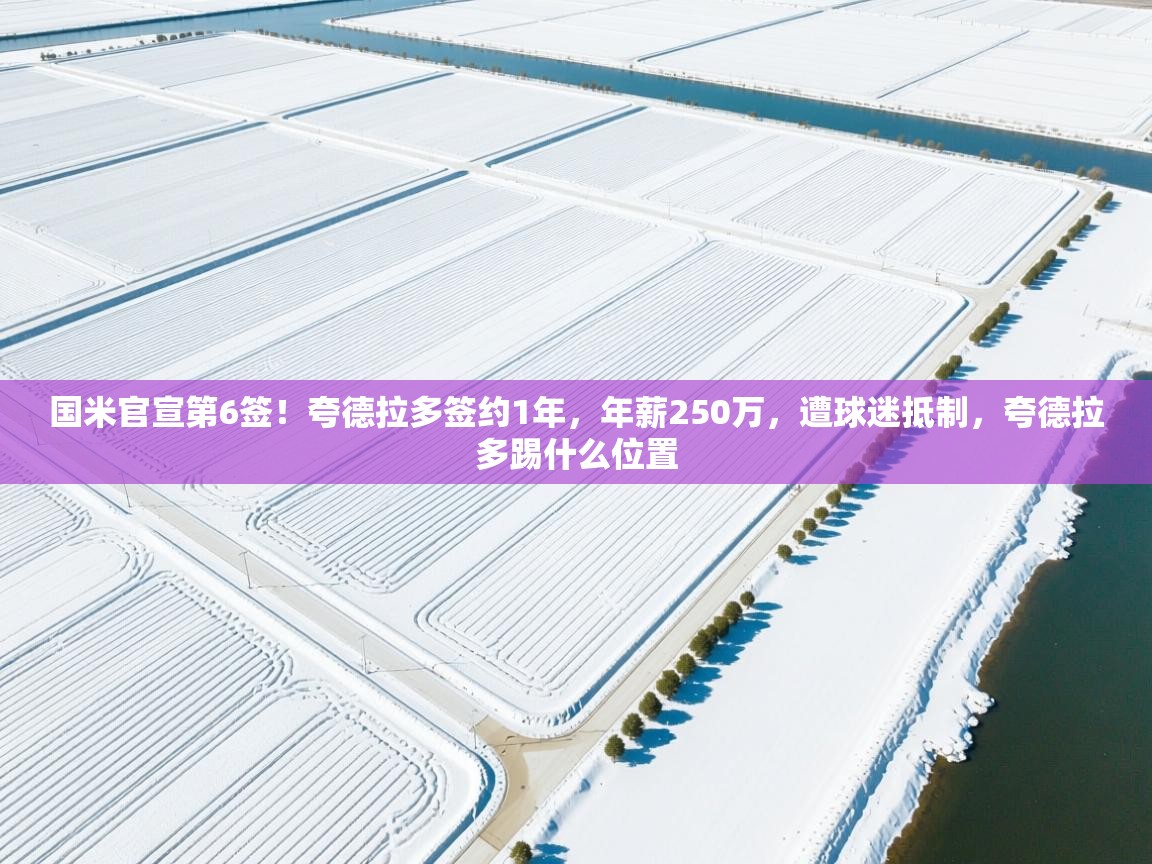趣玩体育nba直播-国米官宣第6签!夸德拉多签约1年,年薪250万,遭球迷抵制,夸德拉多踢什么位置 第2张
