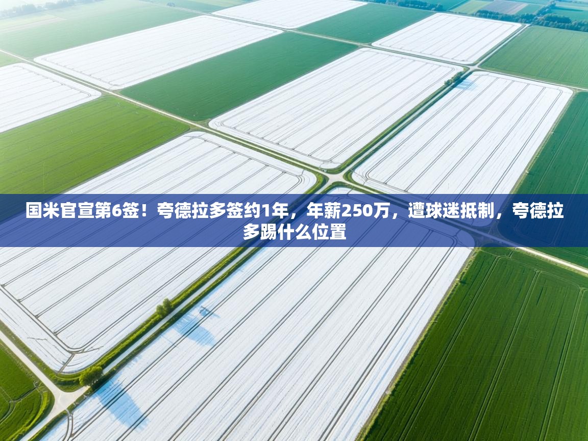 趣玩体育nba直播-国米官宣第6签!夸德拉多签约1年,年薪250万,遭球迷抵制,夸德拉多踢什么位置 第4张