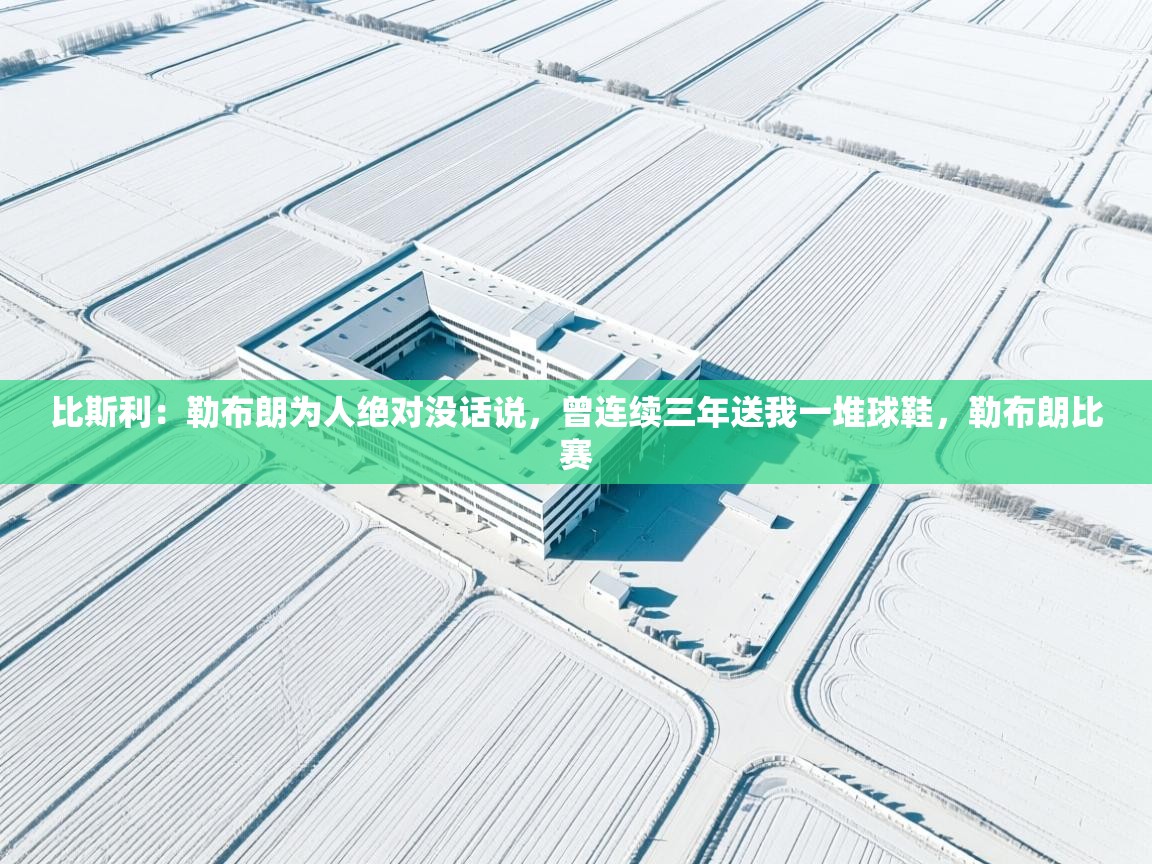 爱游戏娱乐网址-比斯利：勒布朗为人绝对没话说，曾连续三年送我一堆球鞋，勒布朗比赛  第2张
