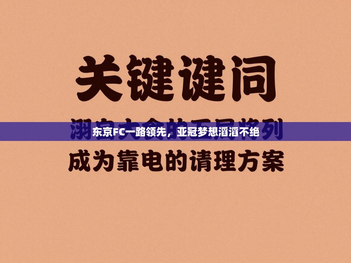 爱游戏在线官网-东京FC一路领先，亚冠梦想滔滔不绝  第4张