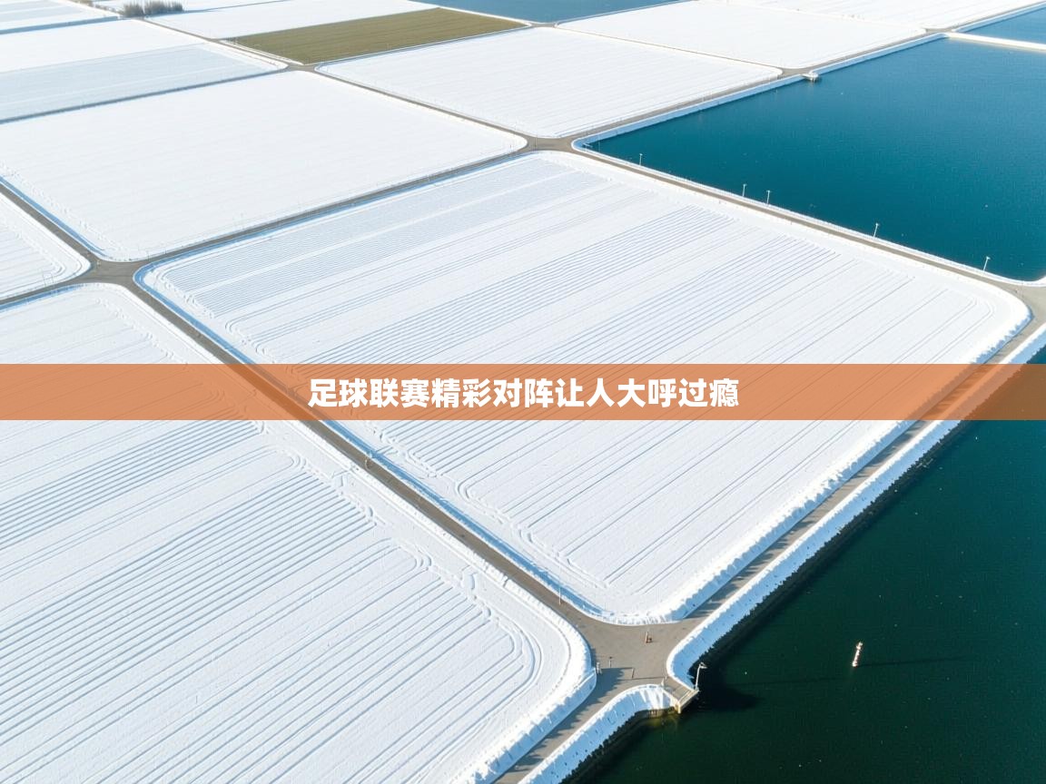 -足球联赛精彩对阵让人大呼过瘾 第1张