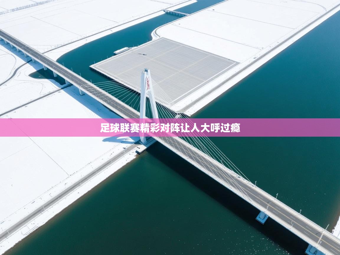 -足球联赛精彩对阵让人大呼过瘾 第2张