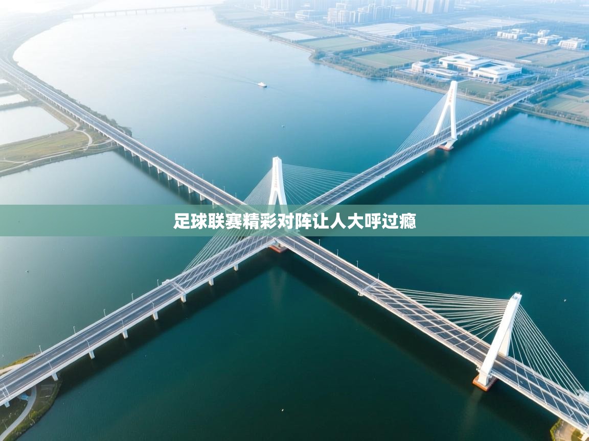 -足球联赛精彩对阵让人大呼过瘾 第4张