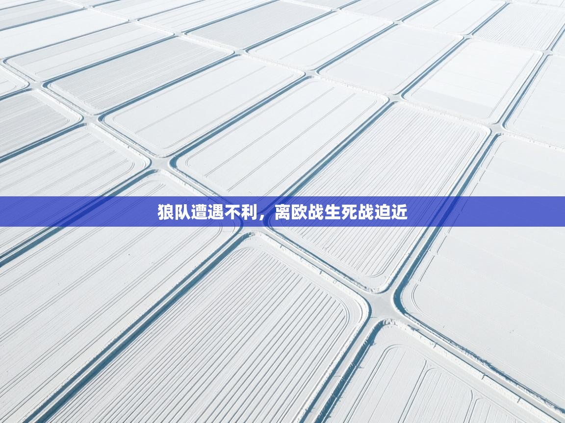 爱游戏平台官网入口-狼队遭遇不利,离欧战生死战迫近 第4张